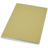 Couleur OLIVE