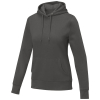 Couleur STRMGREY