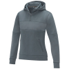 Couleur STEELGR