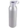 Couleur SILVER