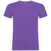 Couleur IRISPURP
