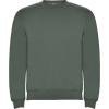 Couleur LAUGREEN