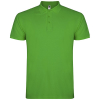 Couleur GRGREEN