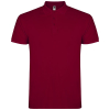 Couleur GARNET