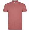 Couleur CHRYSRED