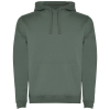 Couleur LAUGREEN
