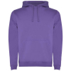 Couleur IRISPURP