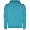 Couleur TURQUOIS