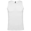 Couleur WHITE