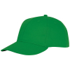 Couleur FERNGRN