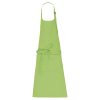Couleur Lime