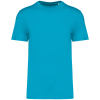 Couleur Light Turquoise