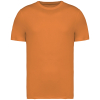 Couleur Tangerine