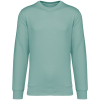 Couleur Jade Green