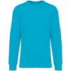 Couleur Light Turquoise