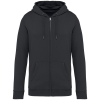 Couleur Iron Grey