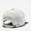 Couleur Alloy