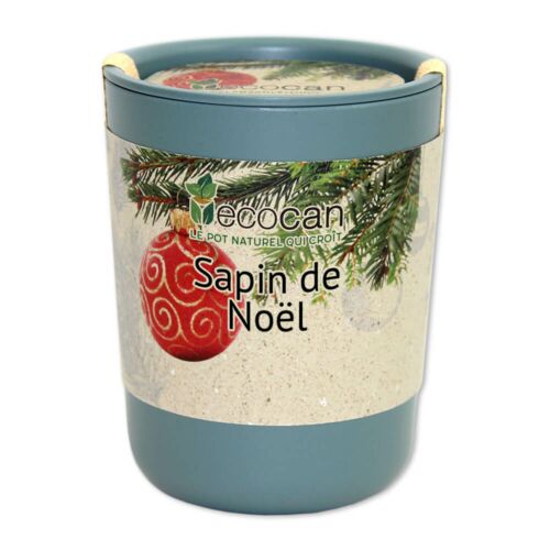 Sapin de Noël