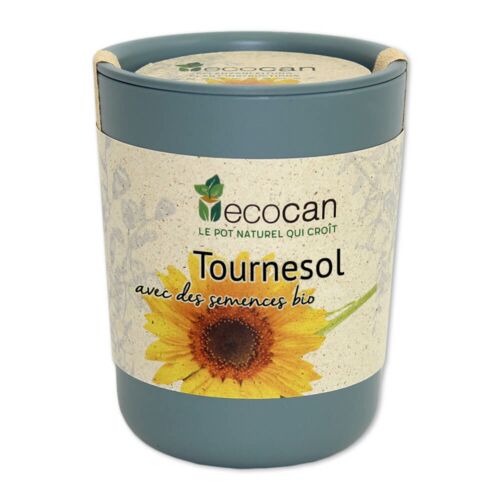 Tournesol