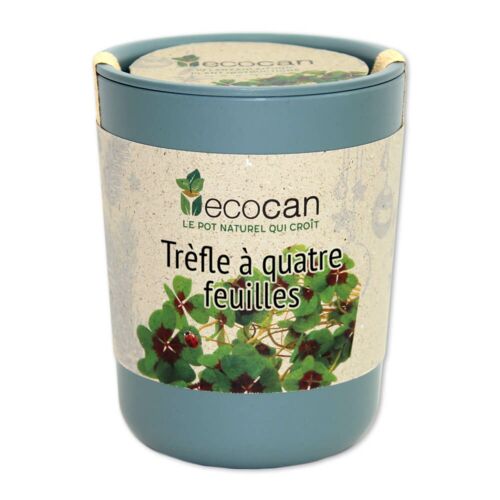 Trèfles à 4 feuilles