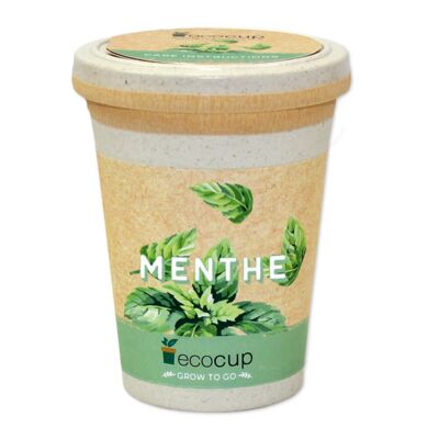 Menthe