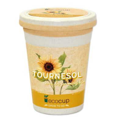 Tournesol