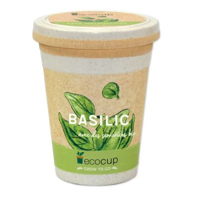 Basilic