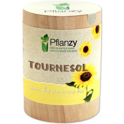 Tournesol