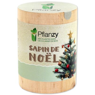 Sapin de Noël