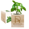 Ecocube | Cube en bois avec plante à faire pousser