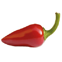 Piment chili