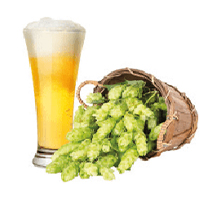 Houblon