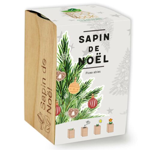 Sapin de Noël